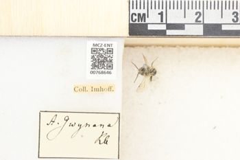 Media type: image;   Entomology 768646 Aspect: Labels